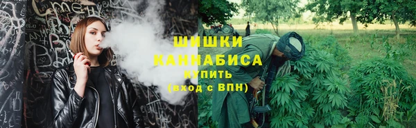 эйфоретик Арсеньев