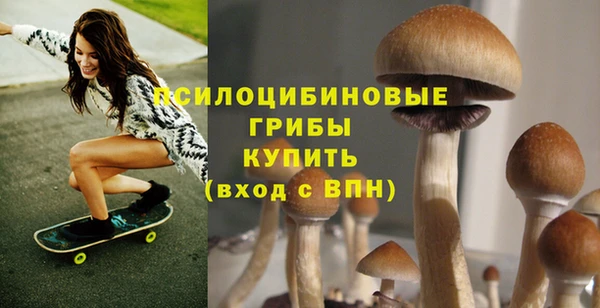 эйфоретик Арсеньев